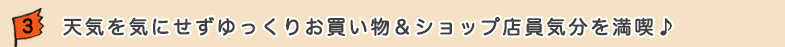 3.�V�C���C�ɂ���������肨���������V���b�v�X���C���𖞋i��