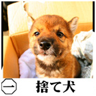 �ݖ�摜