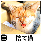 �ݖ�摜