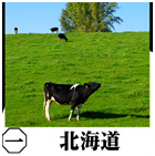 �ݖ�摜