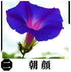 �ݖ�摜