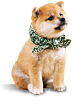 �����̉摜