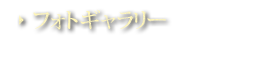 tHgM[ - ʐ^M[