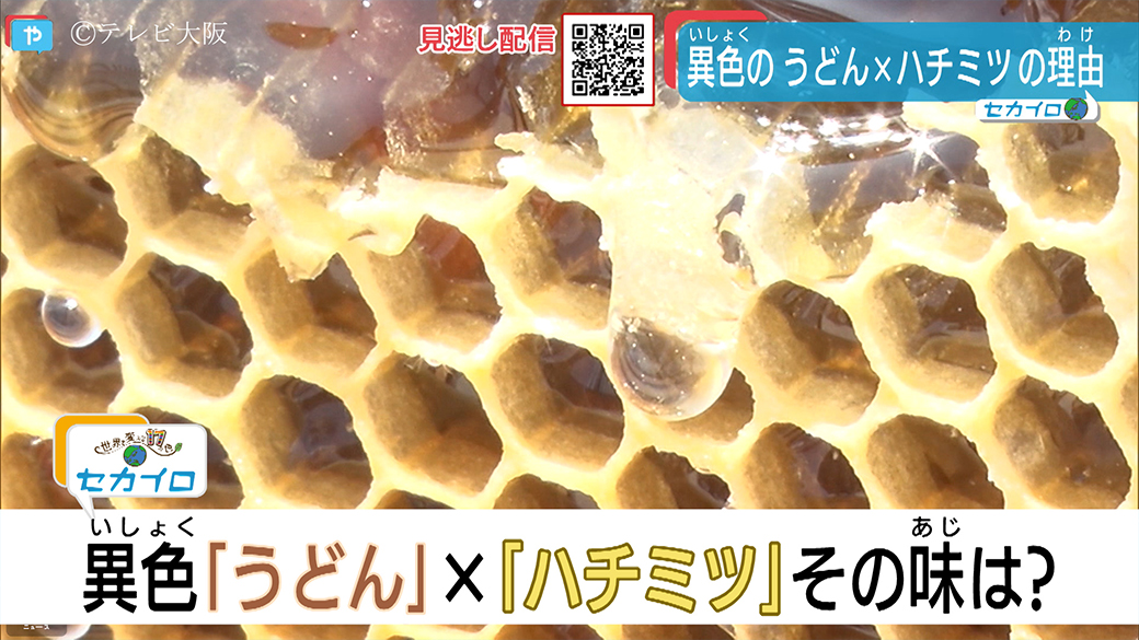 心斎橋はちみつプロジェクト