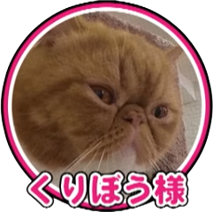 くりぼう様