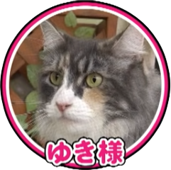 ゆき様