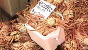 tabipblog20161126b
