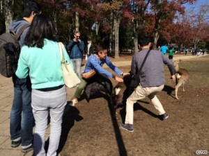 tbpb20161203g