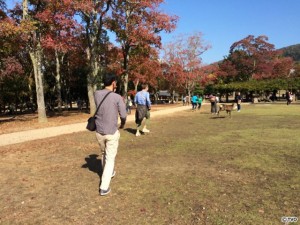 tbpb20161203h