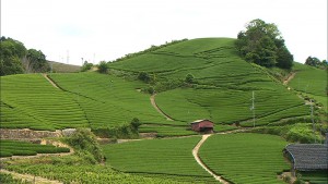 b01