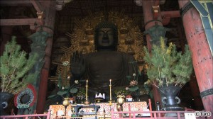 image09