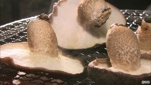tbpb171111-04