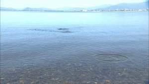 image019