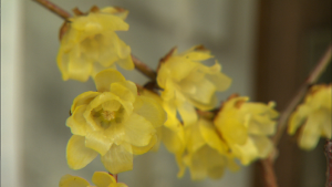 image037