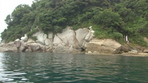image011