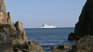 image009