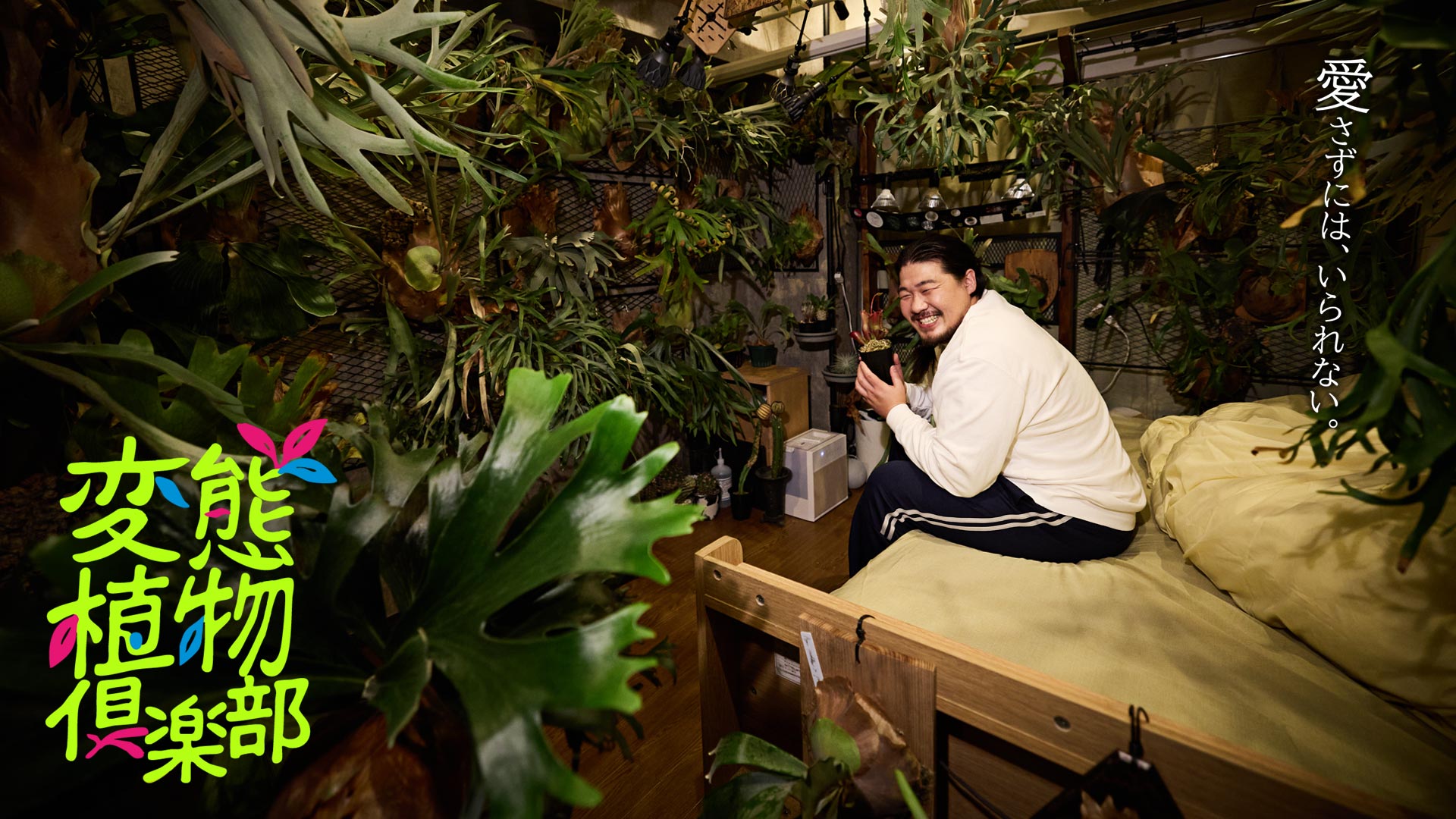 ドラマ「変態植物倶楽部」