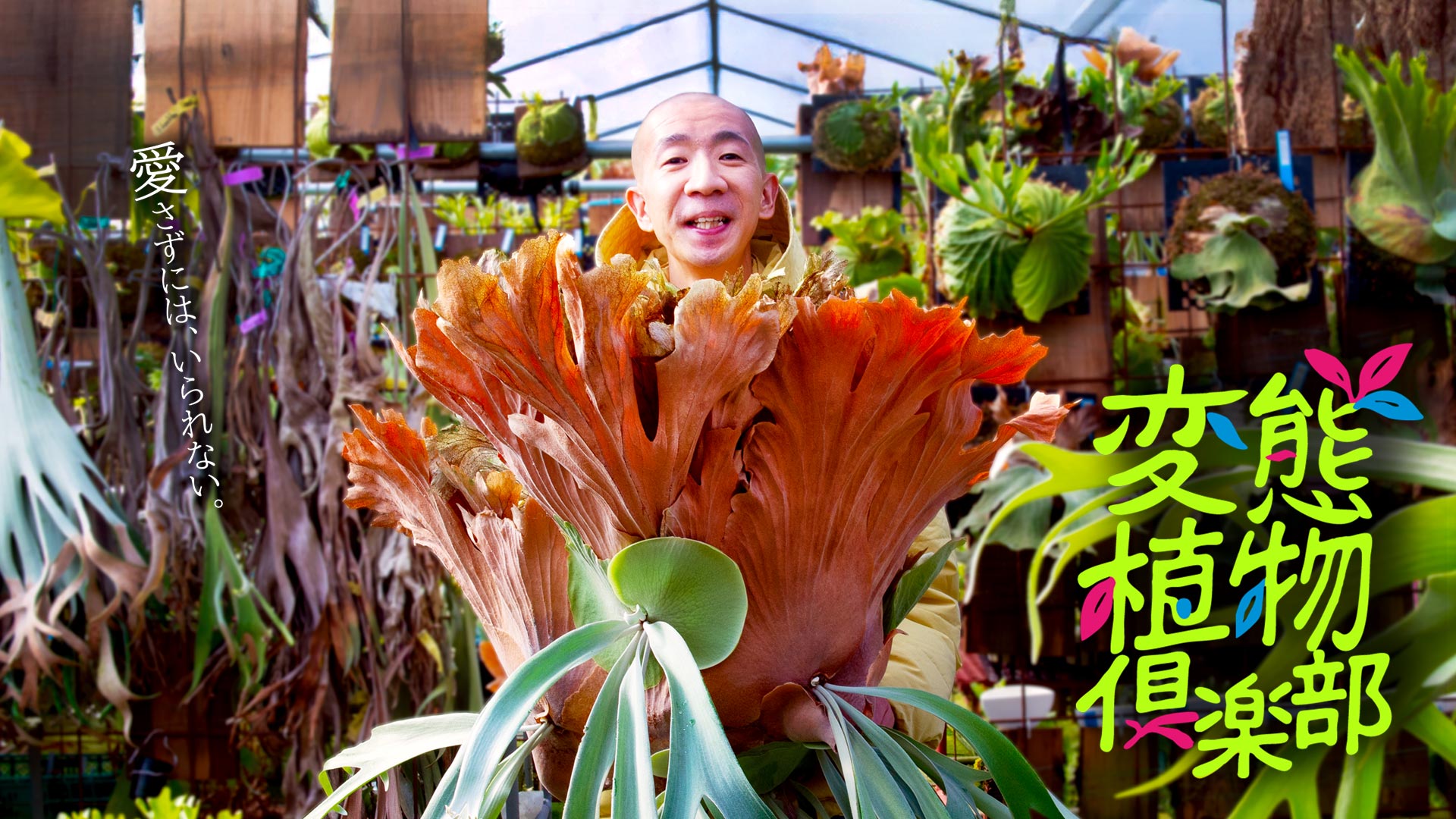 変態植物倶楽部