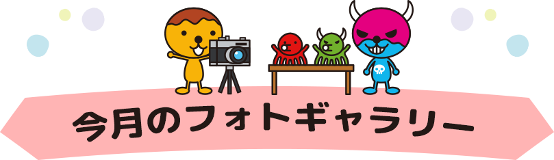 今月のフォトギャラリー