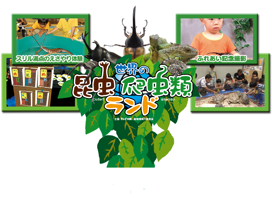 ���E�̍����@঒��ރ����h