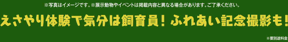 ※写真はイメージです。※展示動物やイベントは内容と異なる場合があります。ご了承ください。えさやり体験で気分は飼育員!ふれあい記念撮影も!※別途料金
