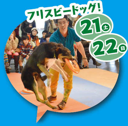 21日(土)・22日(日)フリスビードッグ!