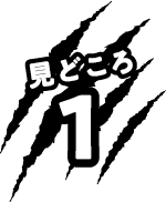 みどころ1