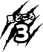 みどころ3