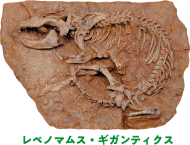 レペノマムス・ギガンティクス
