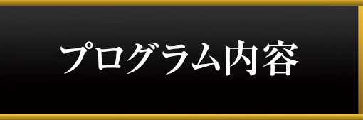 プログラム内容