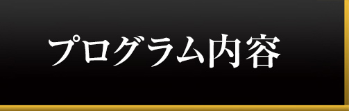 プログラム内容