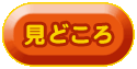 見どころ