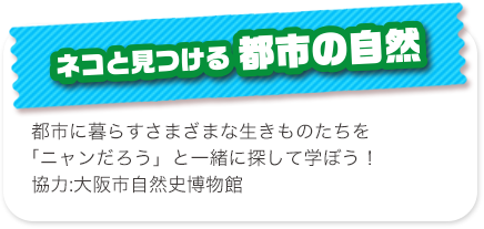 ゾンビ・タッチ