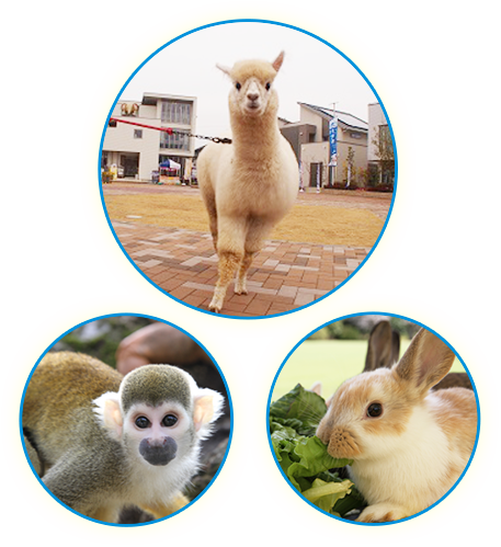 わくわく動物迷路(無料)