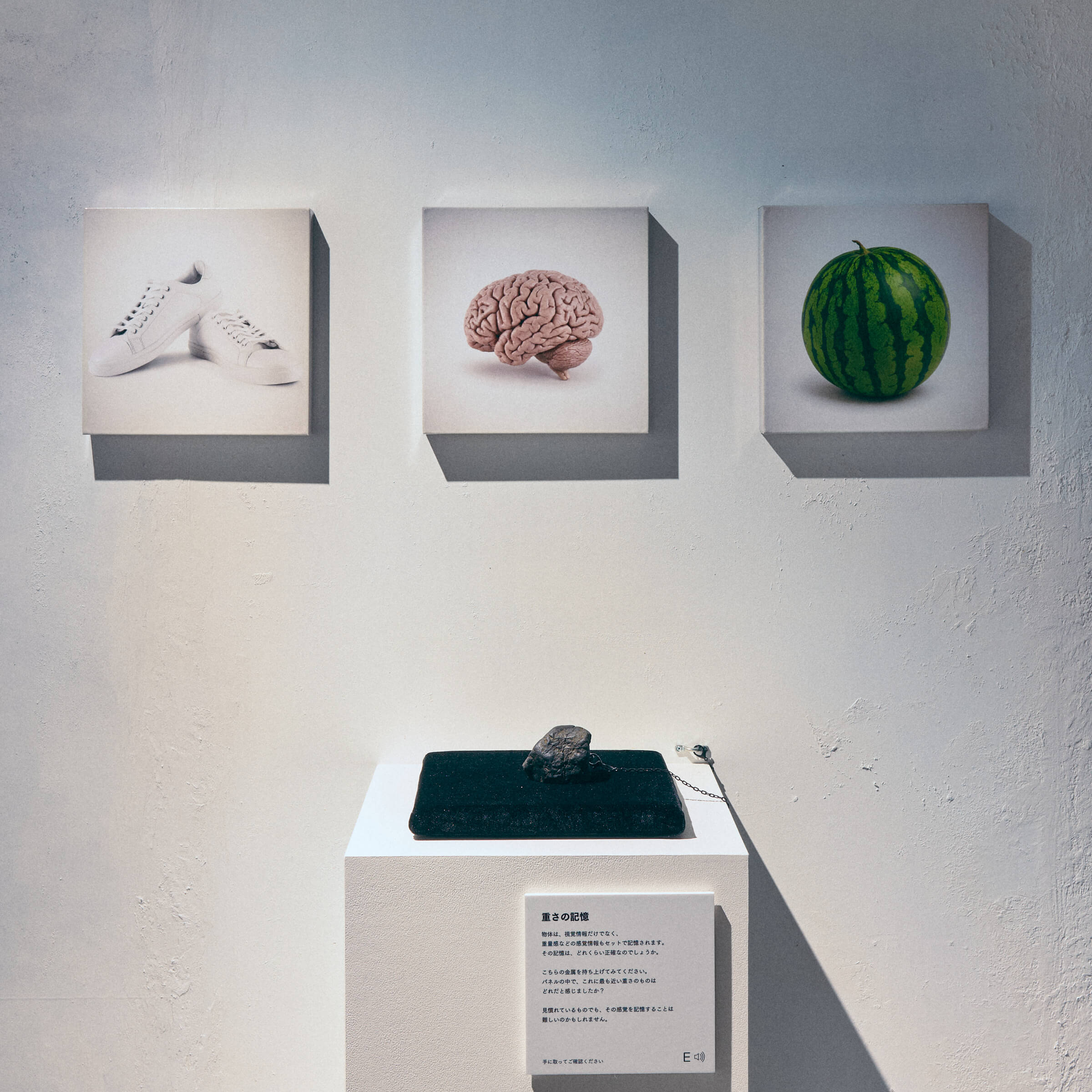 展示イメージ 2