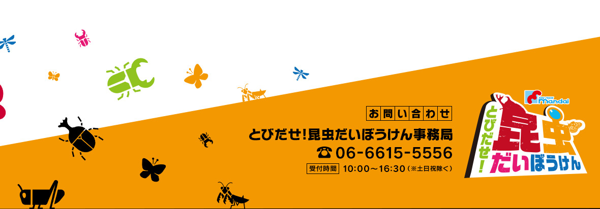 日本初！アメリカからやってきた遊んで学べる昆虫アドベンチャー！