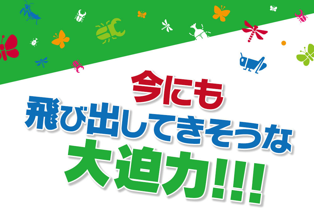 日本初！アメリカからやってきた遊んで学べる昆虫アドベンチャー！