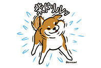 ひろわっさん
