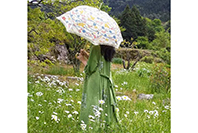 ひろみの和布遊び