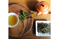 森井ファームのお茶