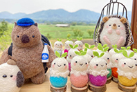 Wombat Craft Studio