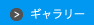 ギャラリー