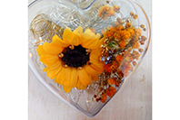 Studio花とき 写真