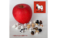 ABCDOGS 写真