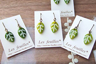 les feuilles* 写真