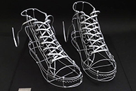 Wireism