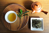 森井ファームのお茶