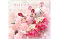 Artemis moon