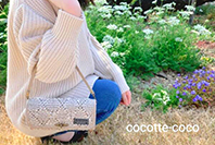 cocotte-coco