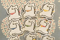 にゃんこと僕 写真